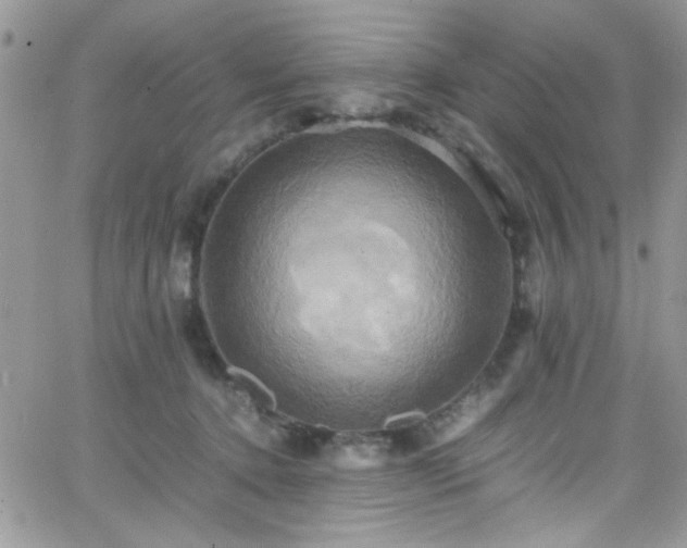 X0000066520368200603201330