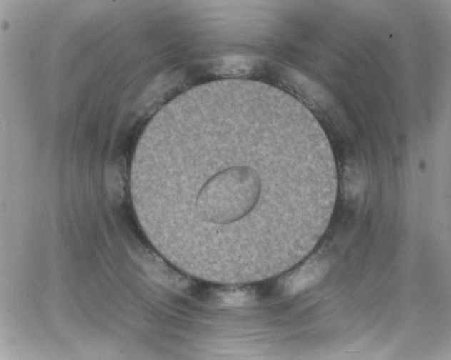 X0000066520370200603201330