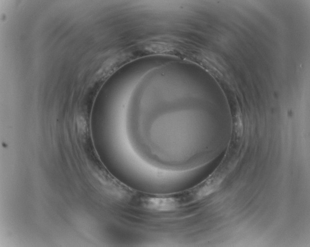 X0000066520371200603201330