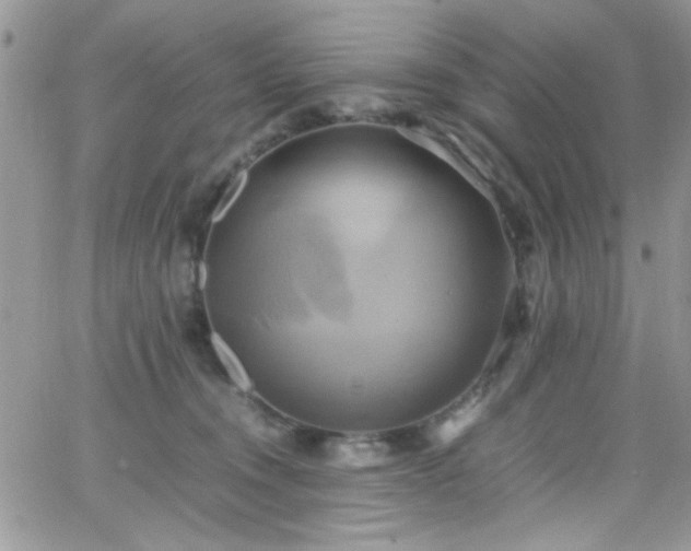 X0000066520372200603201330