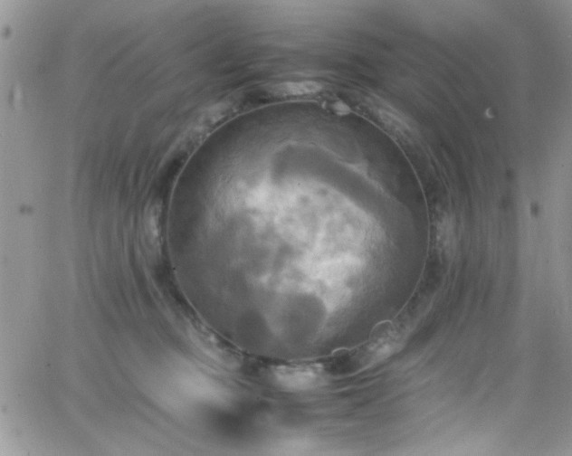 X0000066520373200603201330