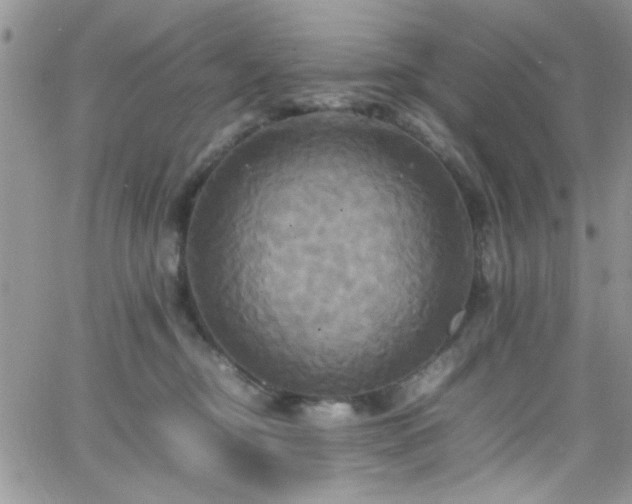 X0000066520374200603201330