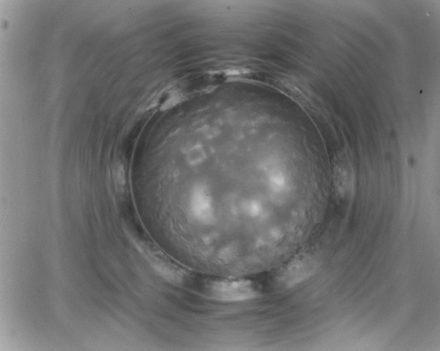 X0000066520375200603201330