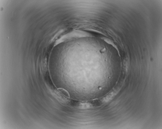 X0000066520376200603201330