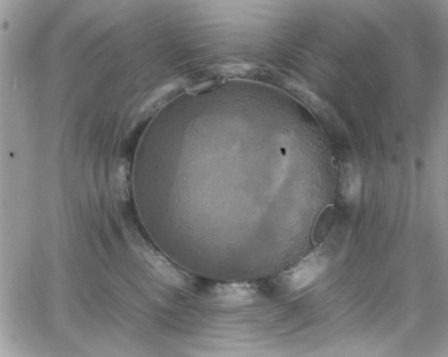 X0000066520378200603201330