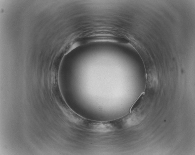 X0000066520379200603201330