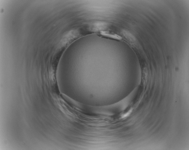 X0000066520380200603201330