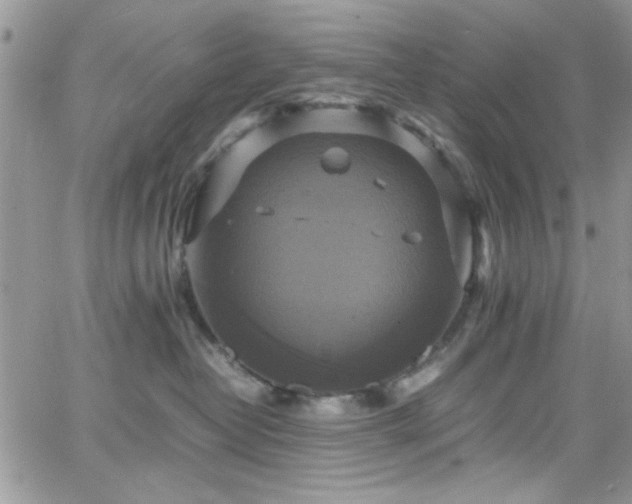 X0000066520382200603201330