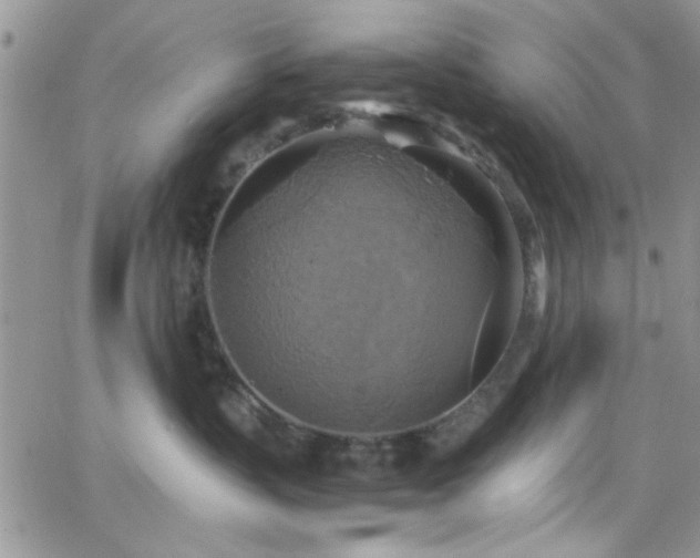 X0000066520383200603201330