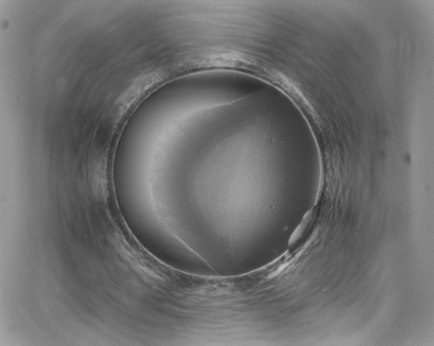 X0000066520386200603201329