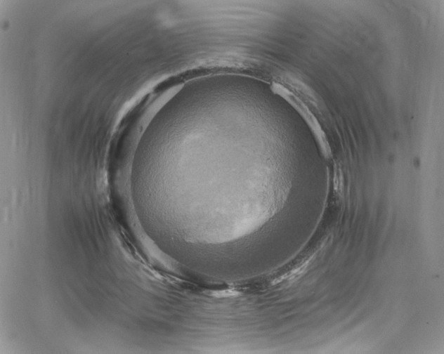 X0000066520388200603201329