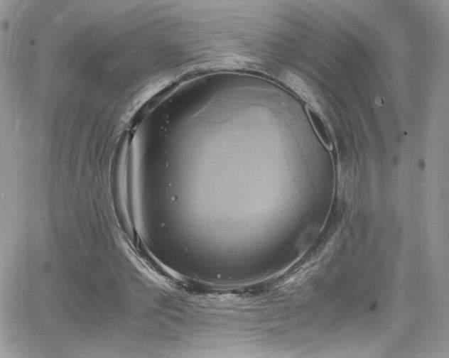 X0000066520389200603201329