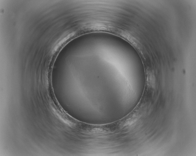 X0000066520390200603201329