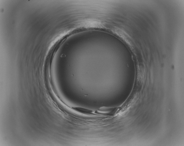 X0000066520391200603201329