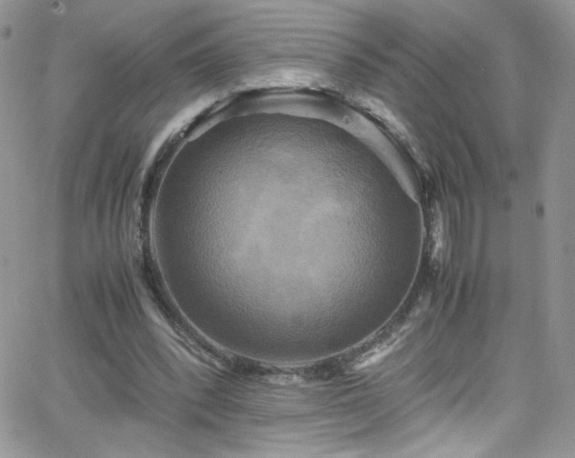 X0000066520392200603201329