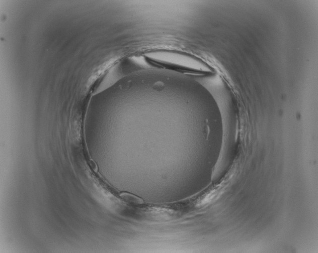 X0000066520393200603201329