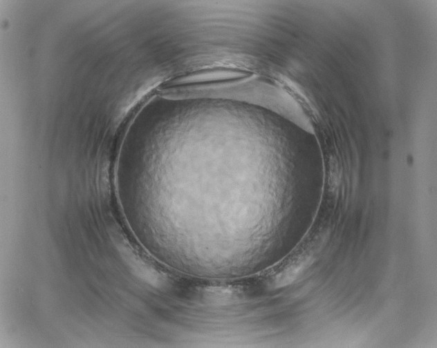 X0000066520394200603201329