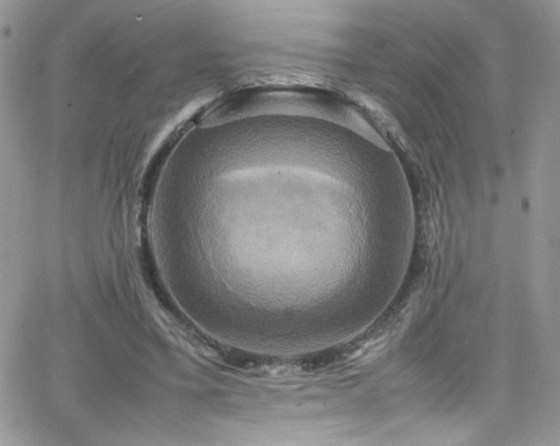 X0000066520395200603201329