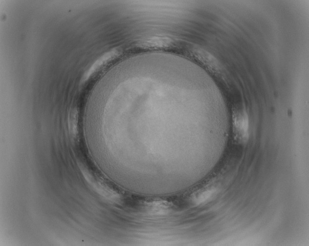 X0000066520396200603201329