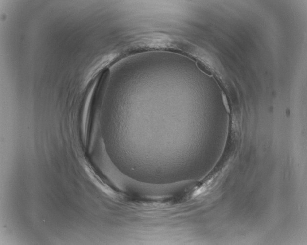 X0000066520397200603201329