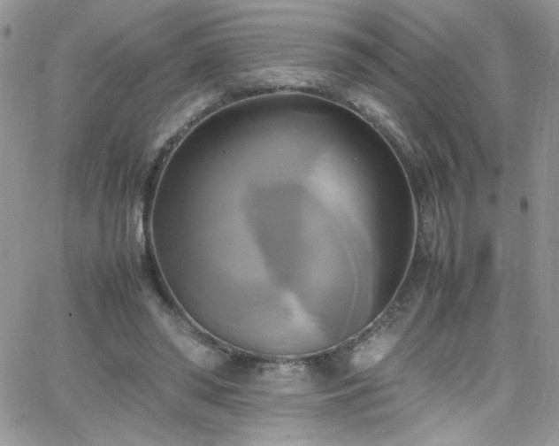 X0000066520398200603201329