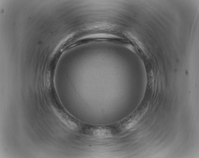 X0000066520400200603201329