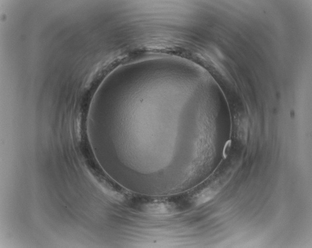 X0000066520404200603201329