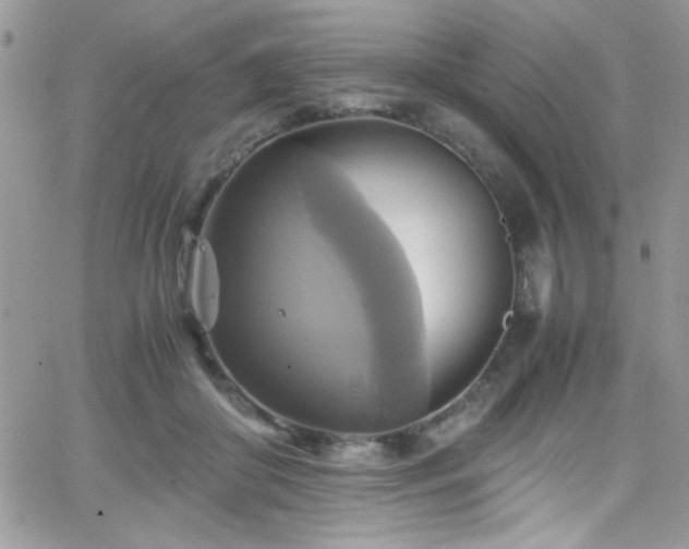 X0000066520410200603201329