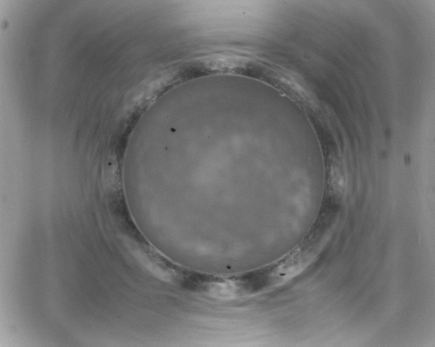 X0000066520411200603201329