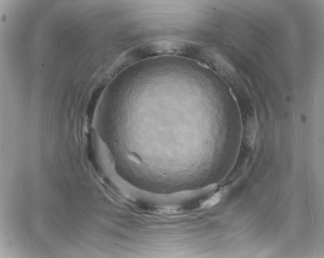 X0000066520413200603201329