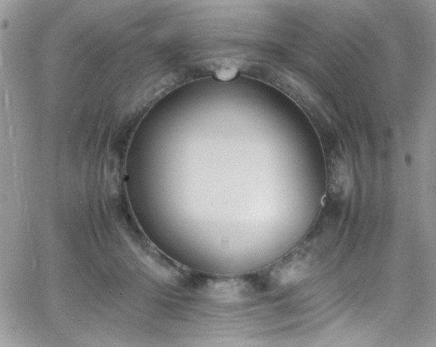 X0000066520414200603201329