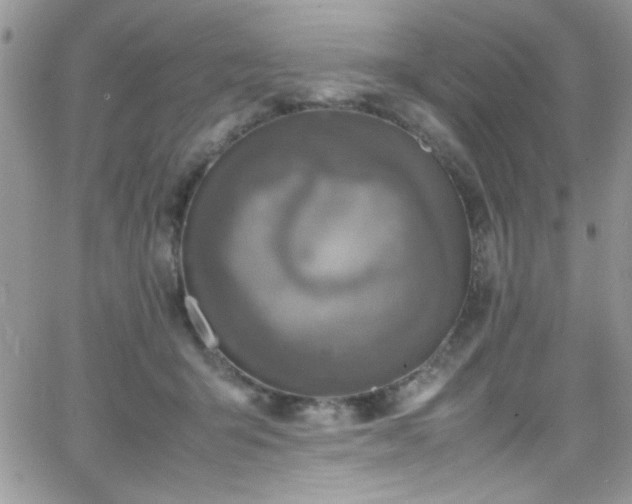 X0000066520415200603201328