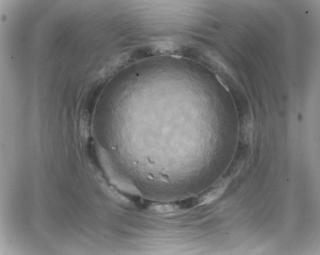 X0000066520417200603201328