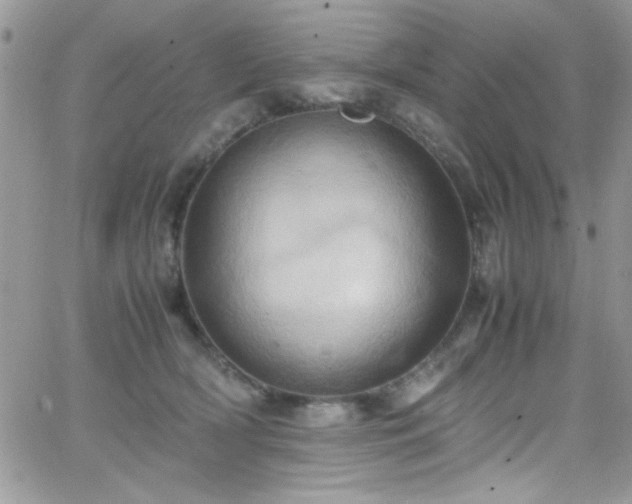 X0000066520418200603201328