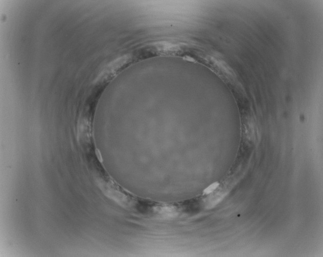 X0000066520419200603201328