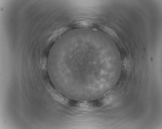 X0000066520423200603201328