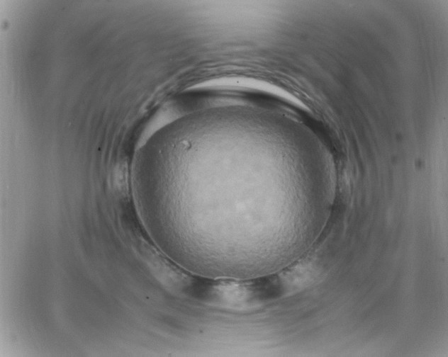 X0000066520425200603201328