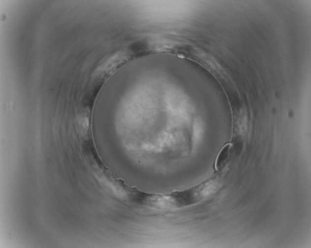 X0000066520427200603201328