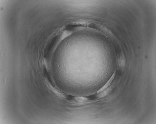 X0000066520429200603201328