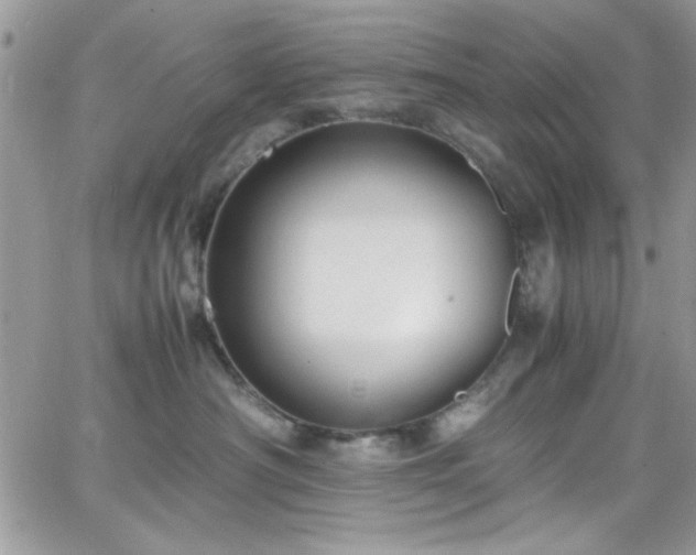 X0000066520430200603201328