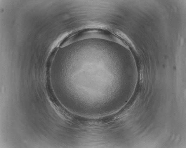 X0000066520436200603201327