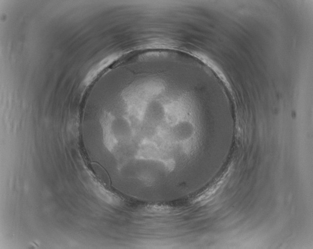 X0000066520437200603201327