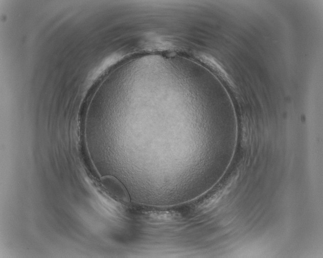 X0000066520439200603201328