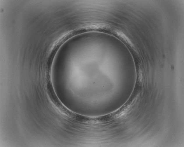 X0000066520444200603201328