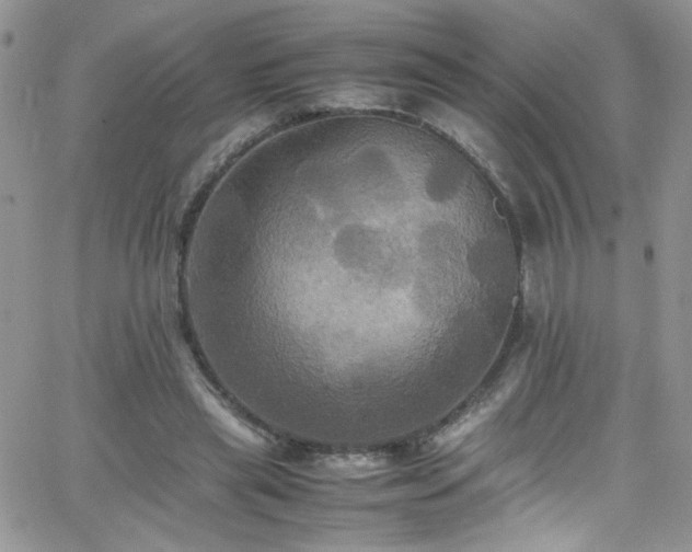 X0000066520445200603201328