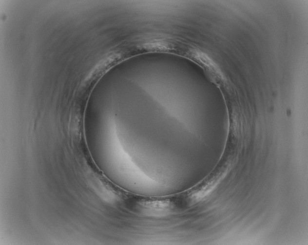 X0000066520449200603201328