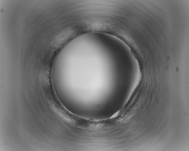 X0000066520450200603201328