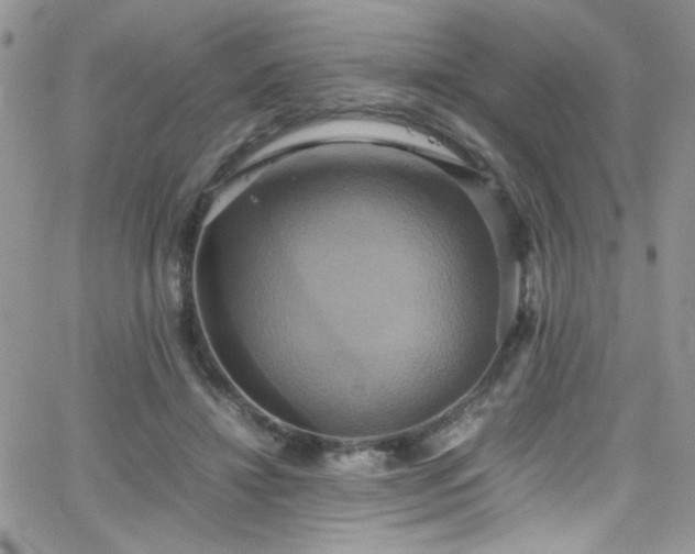 X0000066520452200603201328