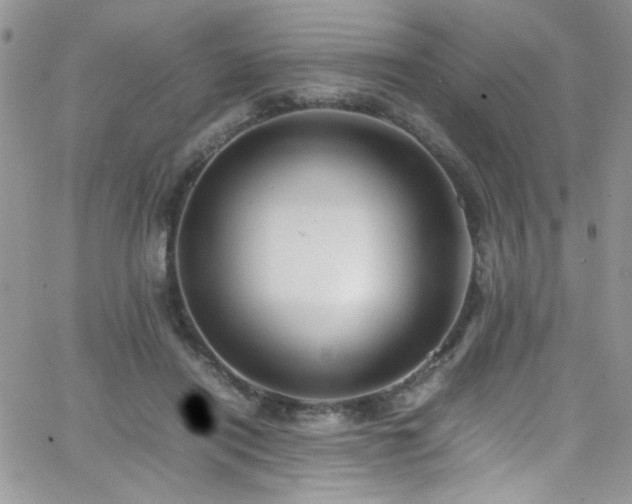 X0000066520454200603201328