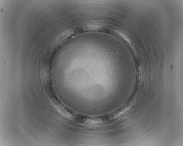 X0000066520455200603201328